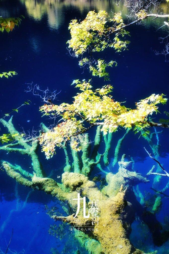 求生指南2