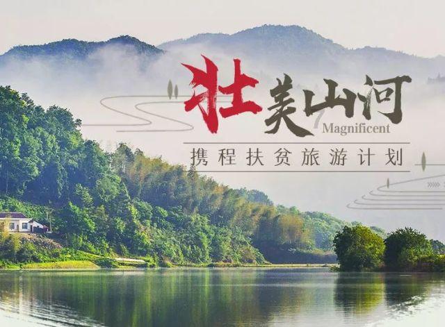 致敬!鲜花从未枯萎而是以另一种方式重新“绽放”