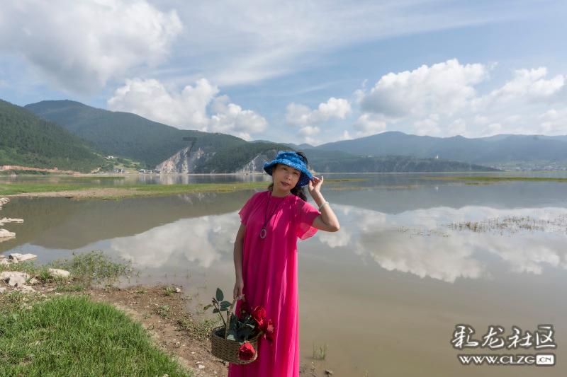 问一个心理学效应叫什么？游戏画面