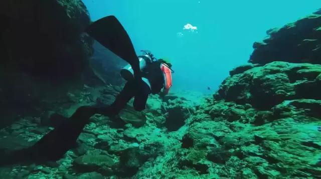 陆寒第几集死了