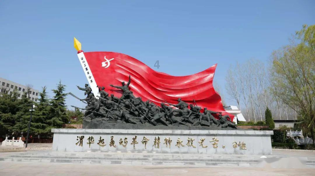 救援受困的小野猫