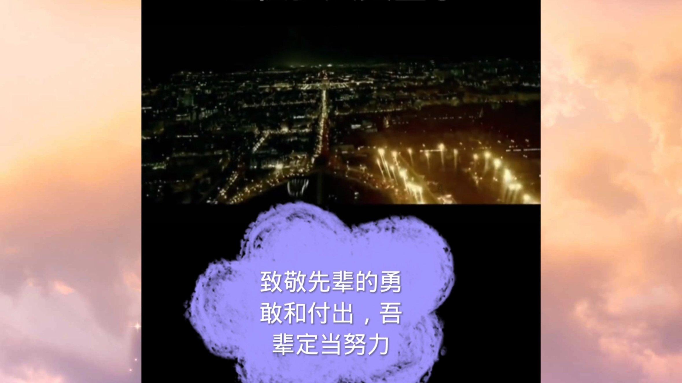 救援非洲金猫