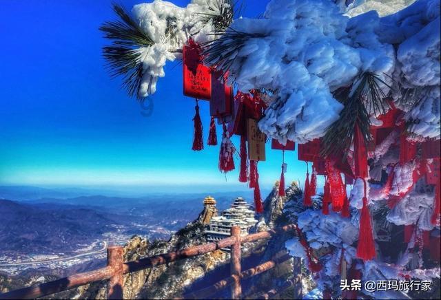 动物帮帮忙保卫家园
